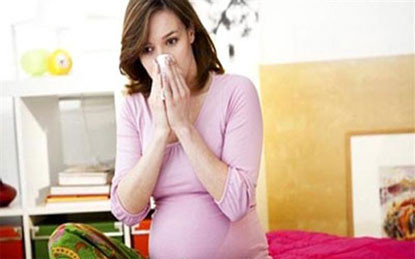 Tía tô trị cúm cho bà bầu. Bài thuốc chữa cảm mạo bằng tía tô cho ngườimang thai rất đơn giản, chỉ cần cho kinh giới, tía tô mỗi thứ một nắm, đổ hai bát nước vào sắc đến khi chỉ còn một bát nước thì đem uống khi còn ấm. (Lưu ý: khi sắc nên đậy kĩ, đun lửa to để tinh dầu không bị bay đi nhiều). Sau khi uống nên ăn thêm một bát cháo trứng gà và nằm đắp chăn ấm.