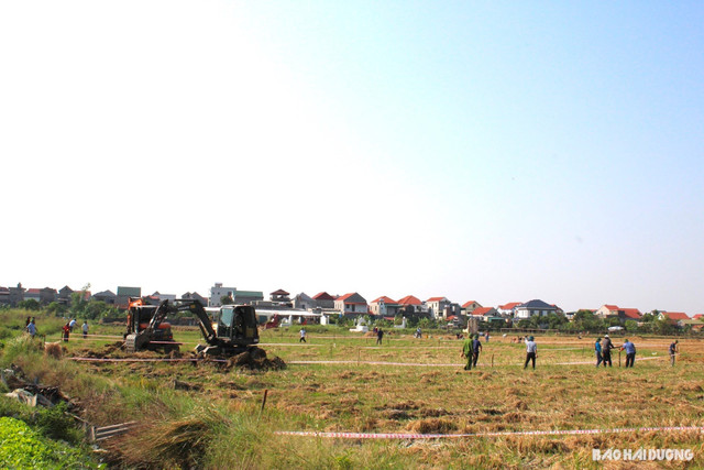 358,31 ha đất trồng lúa được chấp thuận cho chuyển mục đích sử dụng để thực hiện các dự án, công trình năm 2025 (ảnh minh hoạ) 3.jpg