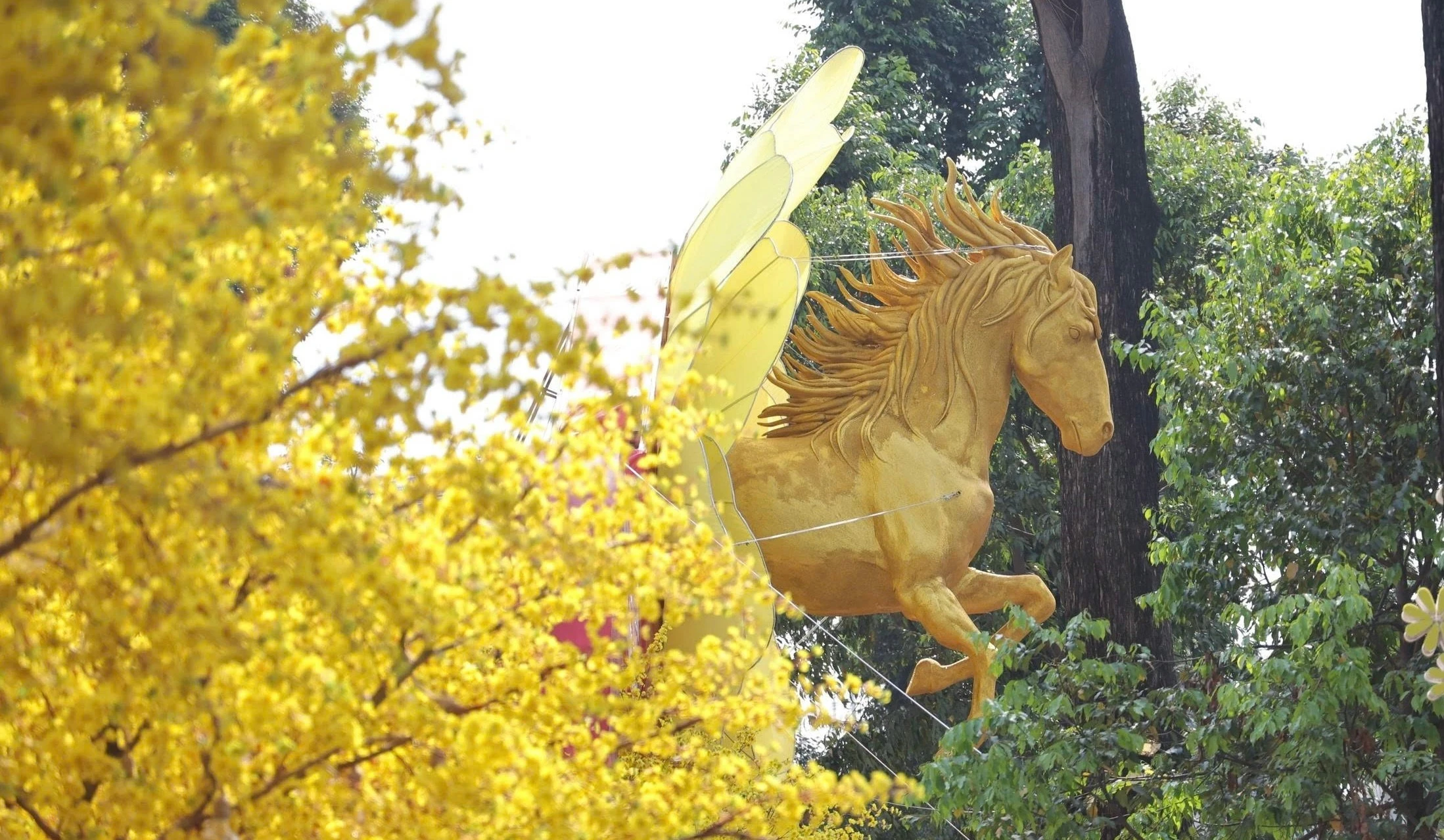 Linh vật ngựa bay ra từ hoa mai gây 'sốt' rần rần