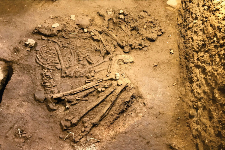 Ancient human remains were excavated in cave pit 4, the core area of Tam Chuc complex. Photo: Minh Duc / Tien Phong Newspaper. 02-1187.jpg