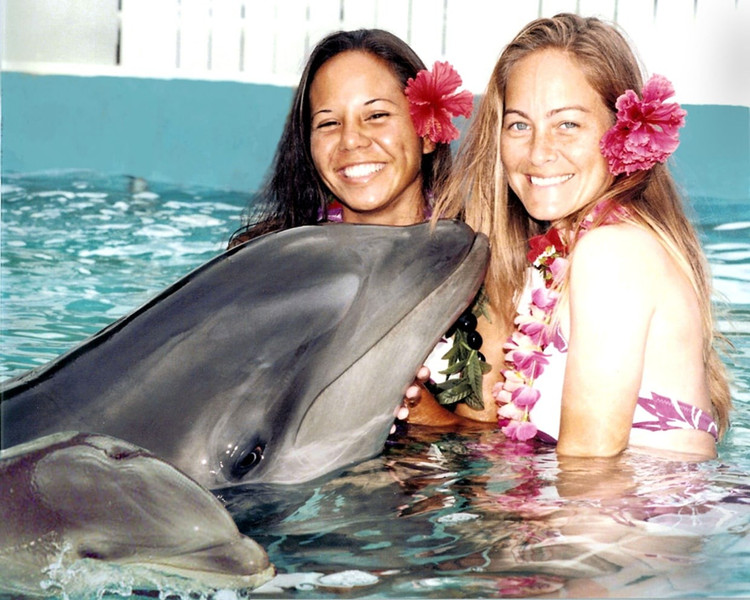 Cea mai faimoasă persoană se numește Kekaimalu. Wholphin Kekaimalu s-a născut la Sea Life Park din Hawaii și a adus pe lume cu succes. Foto: nbcnews. Cá thể nổi tiếng nhất tên Kekaimalu. Wholphin Kekaimalu được sinh tại công viên Sea Life Park ở Hawaii và đã sinh con thành công. Ảnh: nbcnews.