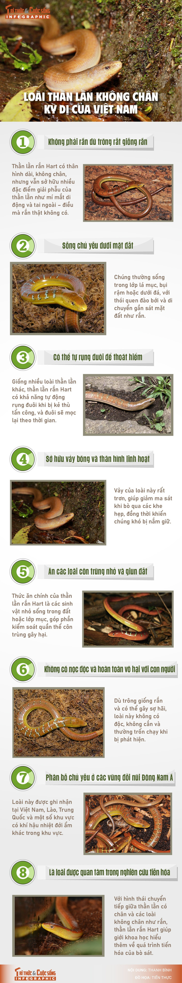 info-thanlan-hart-01-01.jpg