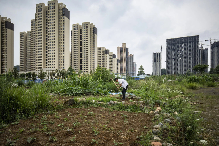 The land pricing mechanism in China is different from that of countries with a completely market mechanism. Photo: Bloomberg. 01.jpg