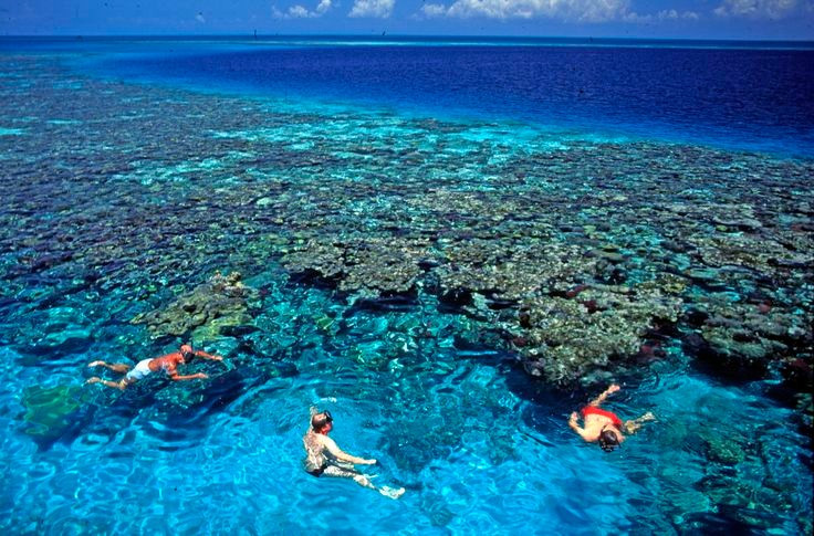 This is a paradise for divers and tourists. The clear blue water and biodiversity make it a top destination for scuba diving. Photo: Pinterest. Đây là thiên đường của thợ lặn và du khách. Nước biển trong xanh cùng sự đa dạng sinh học khiến nơi đây trở thành điểm đến hàng đầu cho hoạt động lặn biển. Ảnh: Pinterest.