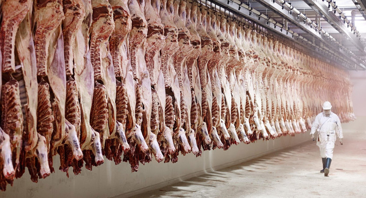 Australian Butchers' Guild. 03.jpg