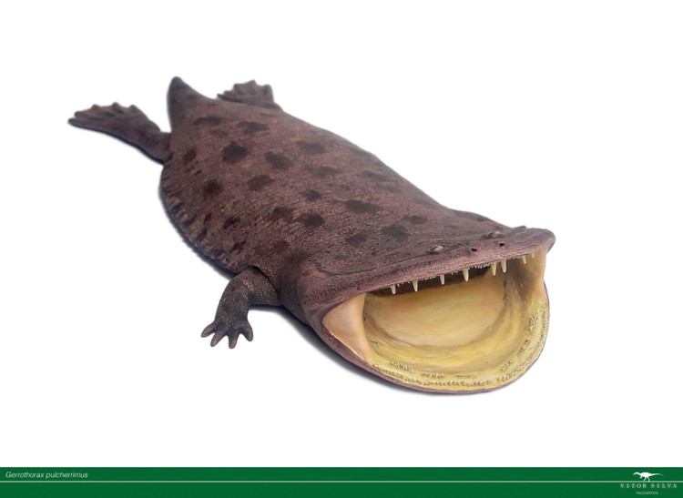 De öppnar sina käkar bakåt. Istället för att sänka underkäken som de flesta djur, lyfter Gerrothorax huvudet för att öppna munnen. Foto: artstation.com. Chúng mở hàm theo hướng ngược. Thay vì hạ hàm dưới như hầu hết các loài động vật, Gerrothorax nâng đầu lên để há miệng. Ảnh: artstation.com.