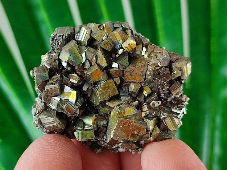 Bentuknya sempurna. Pirit sering kali mengkristal menjadi kubus, oktahedron, atau pentagon beraturan, yang populer di kalangan kolektor mineral. Foto: Pinterest. Hình khối hoàn hảo. Pyrite thường kết tinh thành các khối lập phương, bát diện hoặc hình ngũ giác đều đặn, được giới sưu tầm khoáng vật ưa chuộng. Ảnh: Pinterest.