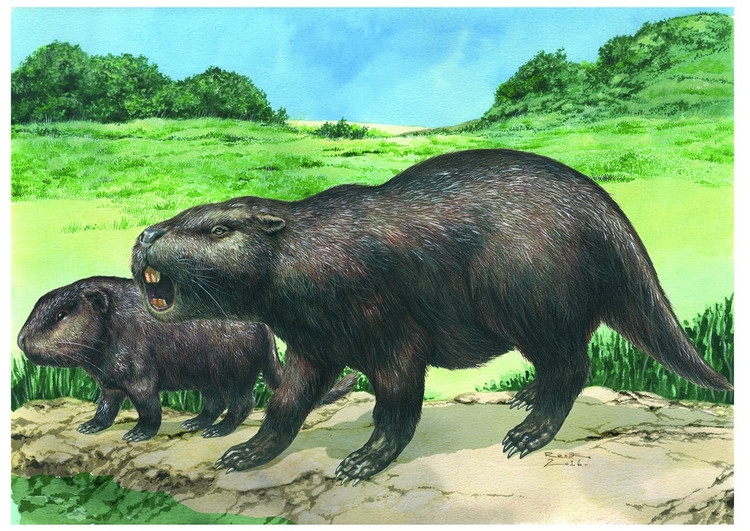 The species name honors Joseph Artigas, a national hero of Uruguay, after whom the giant rat's scientific name is taken. Photo: futurecdn.net. Tên loài vinh danh Joseph Artigas. Ông là anh hùng dân tộc Uruguay, được lấy làm tên khoa học của loài chuột khổng lồ như một sự vinh danh. Ảnh: futurecdn.net.
