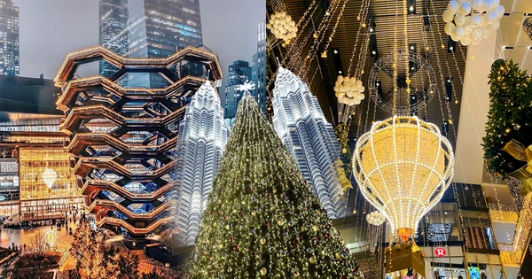 Chiêm ngưỡng những cây thông Noel ấn tượng nhất hành tinh