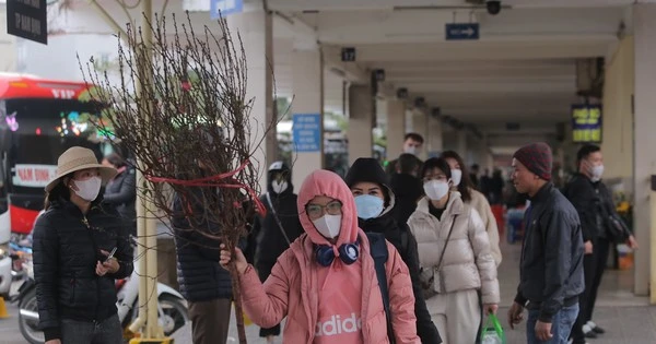 Vác cành đào, mang túi quà rời Thủ đô về quê ăn Tết