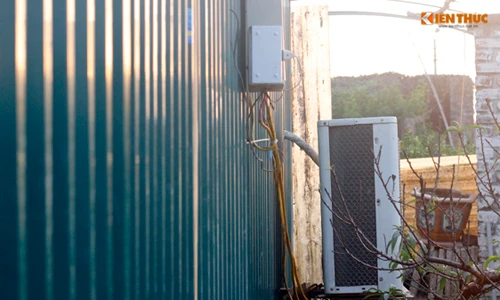 Cận cảnh "bảo bối" giúp đào quý nở đúng Tết dù trời nắng ấm