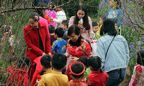 Ảnh: Người Hà Nội kéo nhau ùn ùn đến làng hoa Nhật Tân chụp ảnh Tết