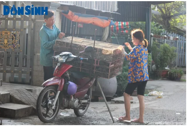 Có gì ở khu chợ chuột lớn nhất miền Tây