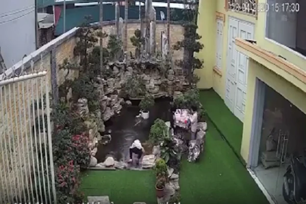 Video: Bé gái trượt chân ngã xuống hồ cá và 1 phút trôi qua đầy căng thẳng