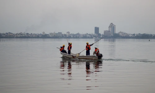 Ảnh: Hơn 5 tấn cá chết được vớt lên ở Hồ Tây
