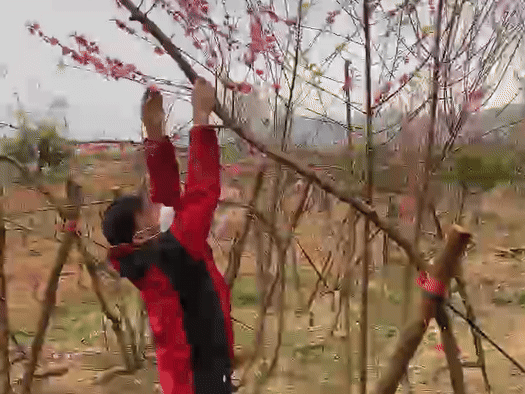 Bi mat phia sau nhung canh dao dang huyen gay sot