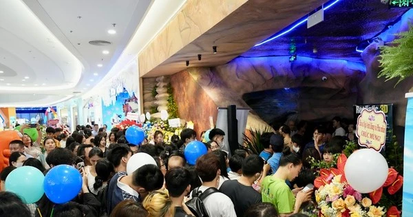 Mãn nhãn với 'thủy cung không nước' tại Hà Nội