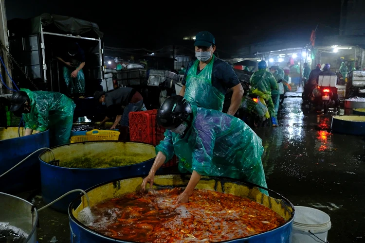 Hà Nội: Chợ Yên Sở đỏ rực cá chép trước ngày tiễn ông Công ông Táo về trời