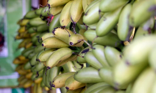 Ảnh: Đặc sản vùng miền Việt Nam hội tụ giữa lòng Hà Nội