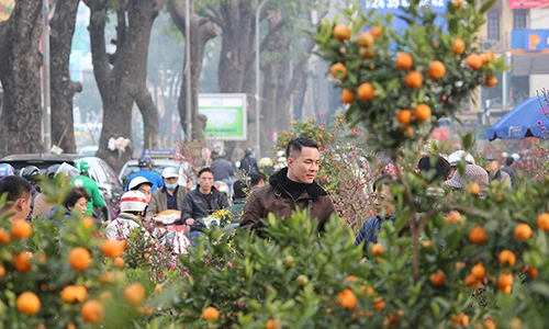 Chiều 29 Tết, hàng quất đào Tết "vừa bán vừa cho", dân ùn ùn mua