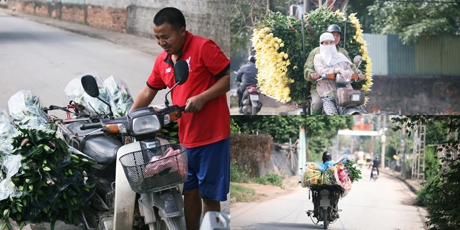 Làng hoa Tây Tựu hối hả vụ Tết Nguyên đán Canh Tý 2020