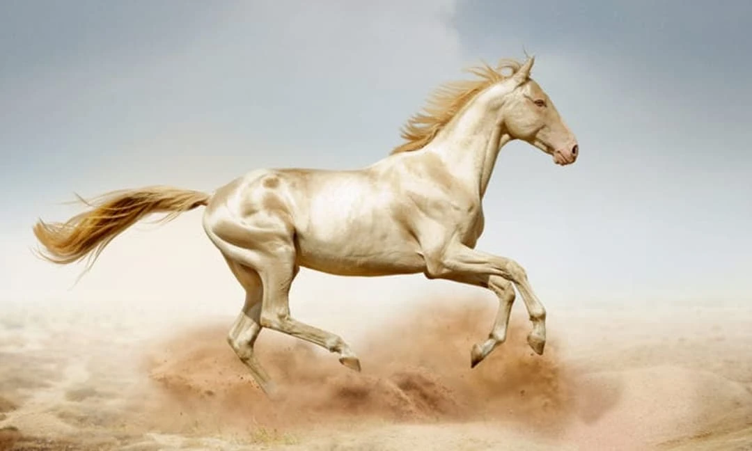 Từ giờ đến cuối tháng 5: 3 con giáp được Thần Tài ưu ái đặc biệt