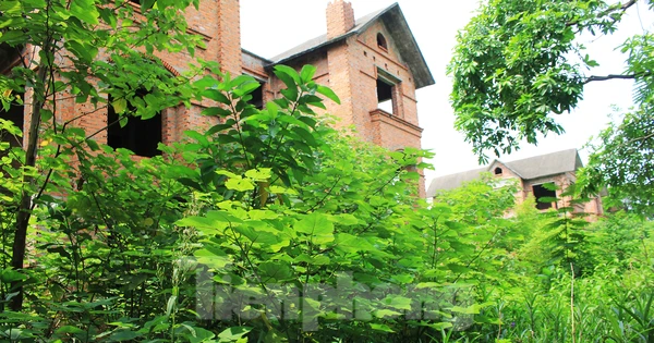 Bắc Ninh: Biệt thự tiền tỷ bỏ hoang thành nơi nuôi thả gà nhiều năm