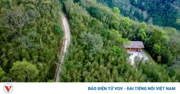 Khám phá rừng trúc Bản Phường 