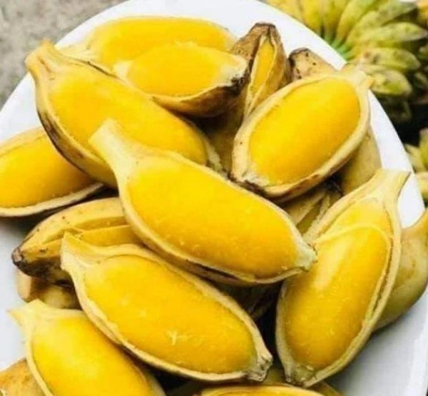 Loại chuối lạ xưa không ai ngó, giờ thành đặc sản giá 60.000 đồng/kg