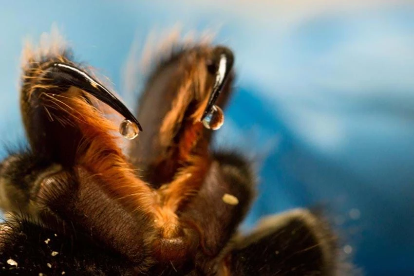 Khoảnh khắc độc lạ hiếm có từ bộ ảnh khoa học