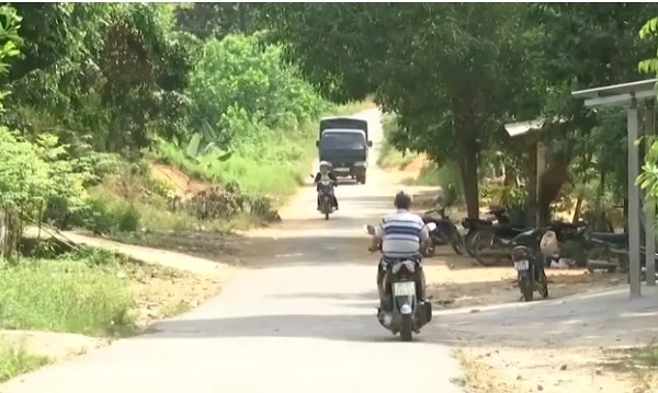 Tăng cường quản lý đất đai các nông, lâm trường quốc doanh