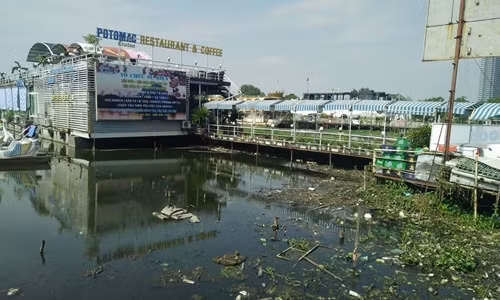 Phản cảm rác thải hôi thối quanh du thuyền hồ Tây