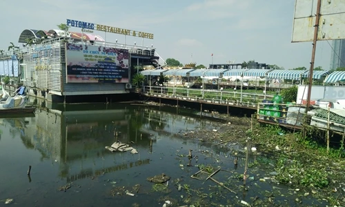 Phản cảm rác thải hôi thối quanh du thuyền hồ Tây