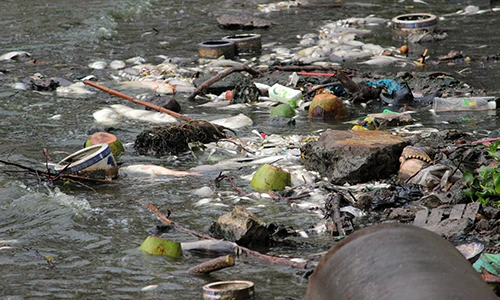 Khủng khiếp cá chết trắng hồ Tây: Do thời tiết bất thường?