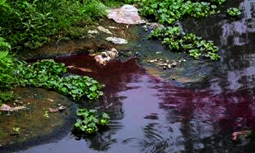 Cảnh hãi hùng dòng sông bị nhuộm đỏ như máu ở Hà Nội