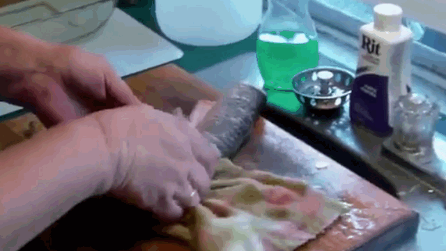 Video: Cá mất đầu vẫn giãy đành đạch khiến nhiều người kinh ngạc