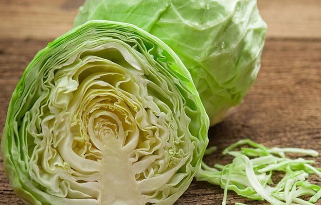 Đồ uống giải rượu từ bắp cải 