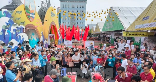 Độc lạ cuộc thi đua cua tốc độ ở Cà Mau 