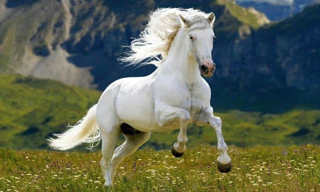 Cuối năm 2022, 3 con giáp chấm dứt đói nghèo, giàu lên chóng mặt