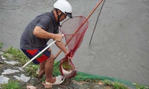 Ảnh: Mặc mưa lớn, dân Hà Nội hí hửng đổ ra sông bắt cá