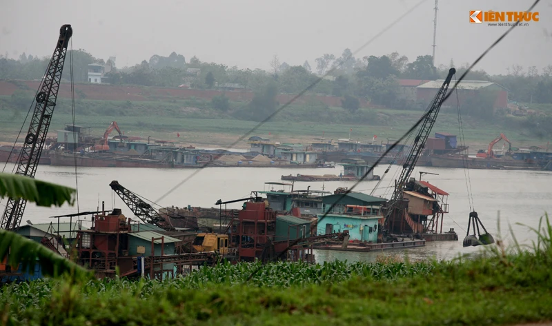 Cận cảnh hàng nghìn m2 đất sạt lở do doanh nghiệp “tận hủy” tài nguyên cát trên sông Lô