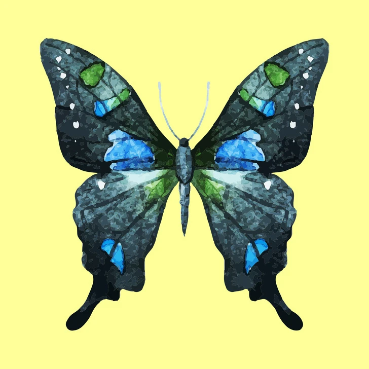 Loài bướm bạn chọn tiết lộ nhiều điều ẩn giấu trong tính cách