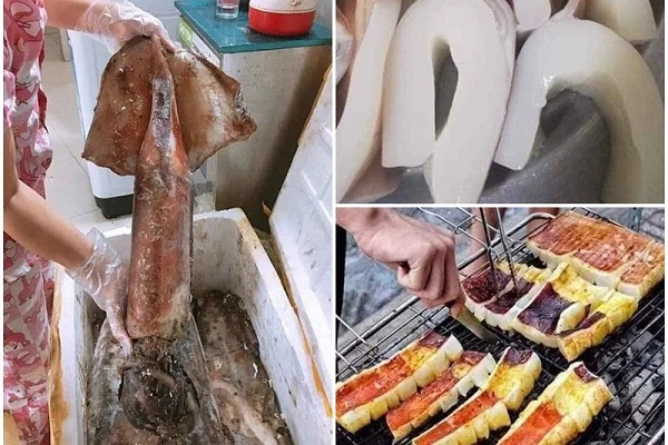 Sự thật về loại mực siêu to đang hút khách 