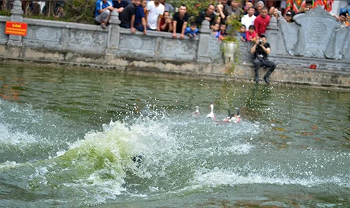 Ảnh: Trai làng Vạn Phúc vùng vẫy trong ao lạnh thi bắt vịt