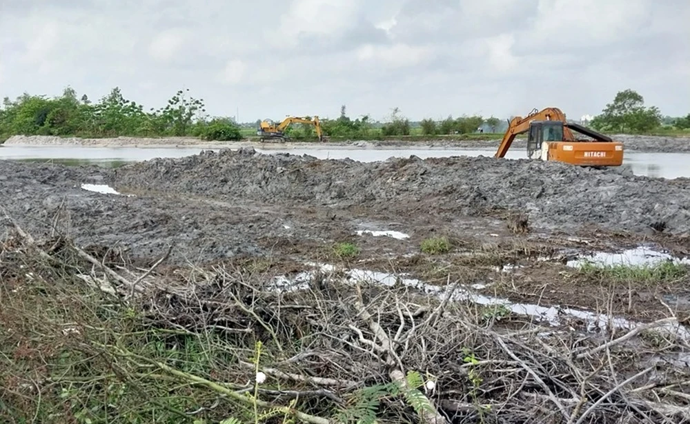 Huế: Hiện trường 0,72ha rừng ngập mặn bị san ủi làm bờ kè 