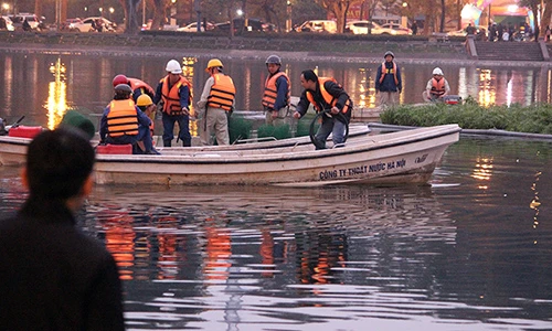 Giăng lưới, mắc điện bảo vệ thiên nga khỏi “đạo chích” ở hồ Thiền Quang