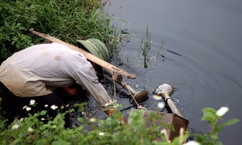 Cảnh kinh hãi rau sống tưới nước thải đen thối ở Hà Nội