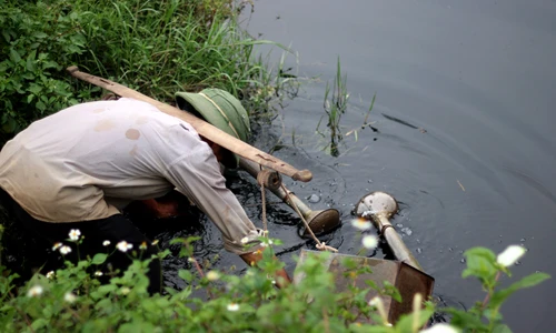Cảnh kinh hãi rau sống tưới nước thải đen thối ở Hà Nội