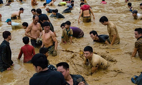 Hàng trăm người xuống ao dầm bùn, chịu rét bắt cá lấy may