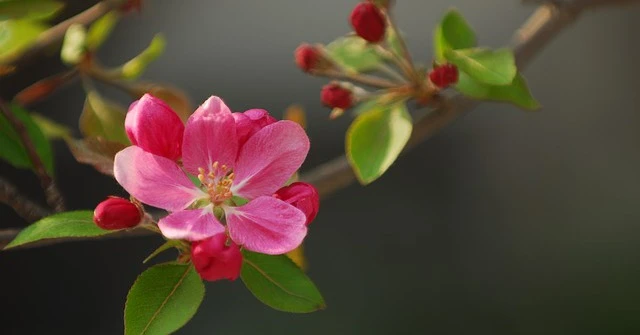 Sau tháng 10, 4 con giáp này sống ngày càng khởi sắc